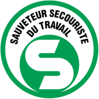 LOGO SST CSI FORMATION 1